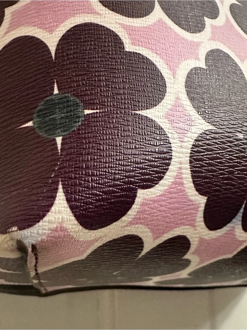 Kate Spade Molly Graphic Clover Large Tote